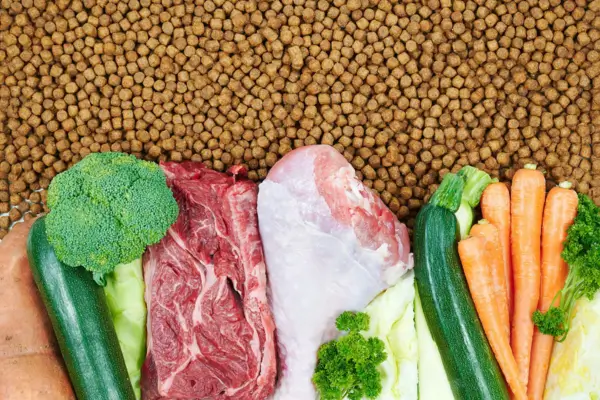 Proteínas na Dieta de Cachorros: Tipos e Importância