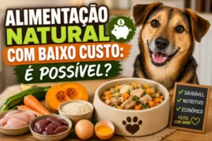 Alimentação Natural com Baixo Custo: É Possível?