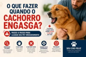 O que fazer quando o cachorro engasga?