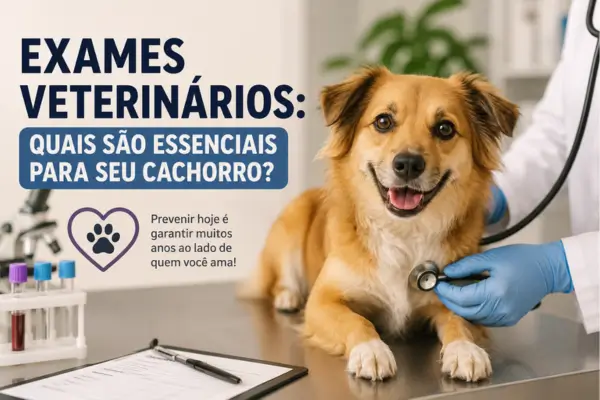 Exames Veterinários: Quais São Essenciais para Seu Cachorro
