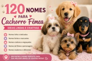 Nomes Para Cachorro Fêmea: Ideias Lindas e Criativas Para Escolher o Nome Ideal