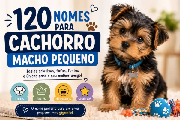 120 Nomes Para Cachorro Macho Pequeno: Ideias Incríveis Para Escolher o Nome Ideal