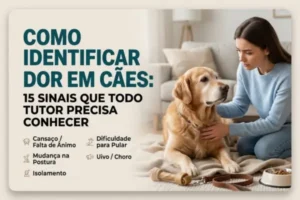 como identificar dor em cães