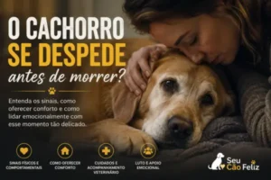 O Cachorro se Despede Antes de Morrer