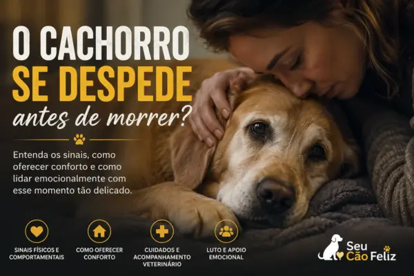 O Cachorro se Despede Antes de Morrer